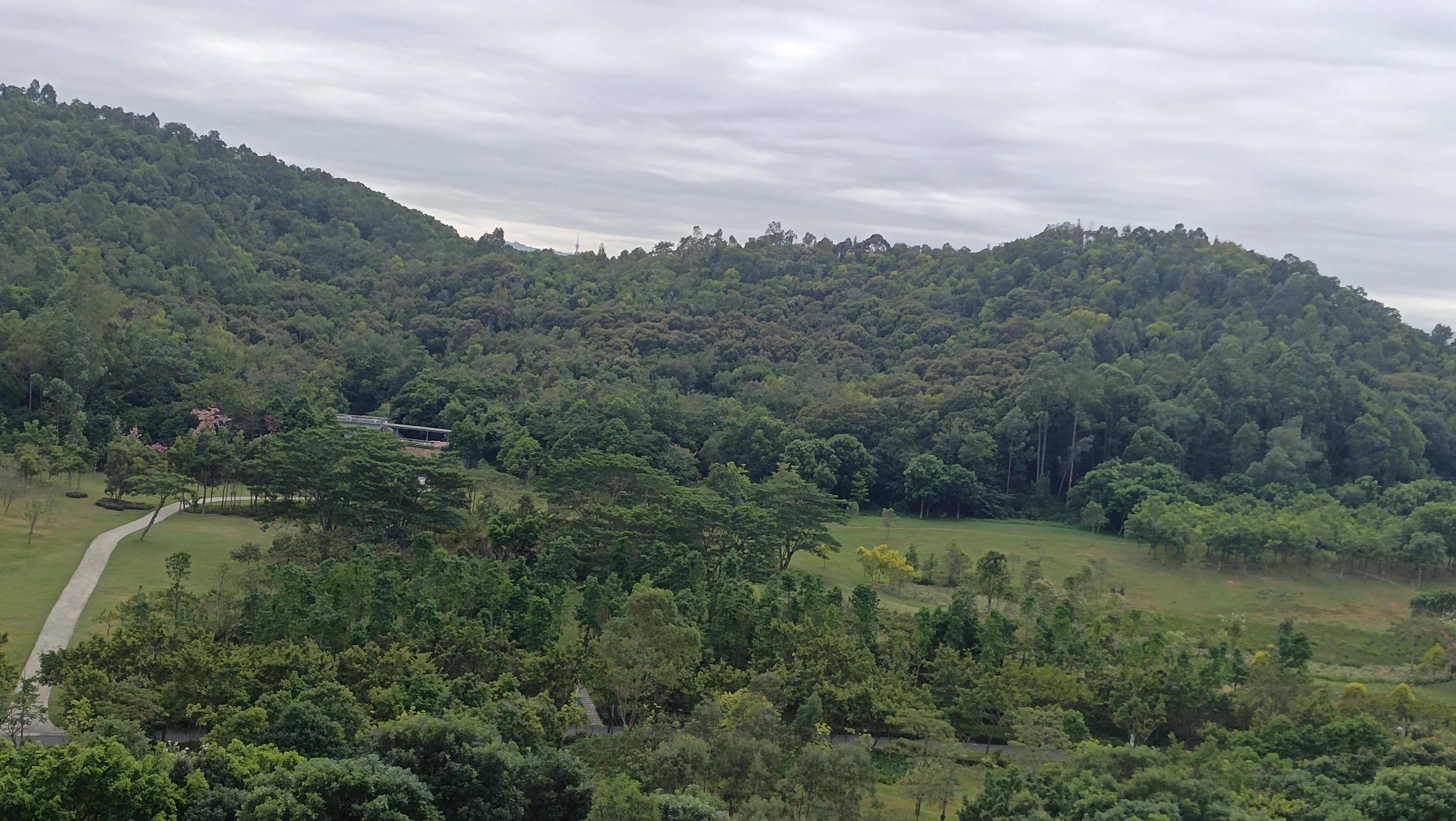 治疗心衰的名中医有哪些,心衰中医能治好吗