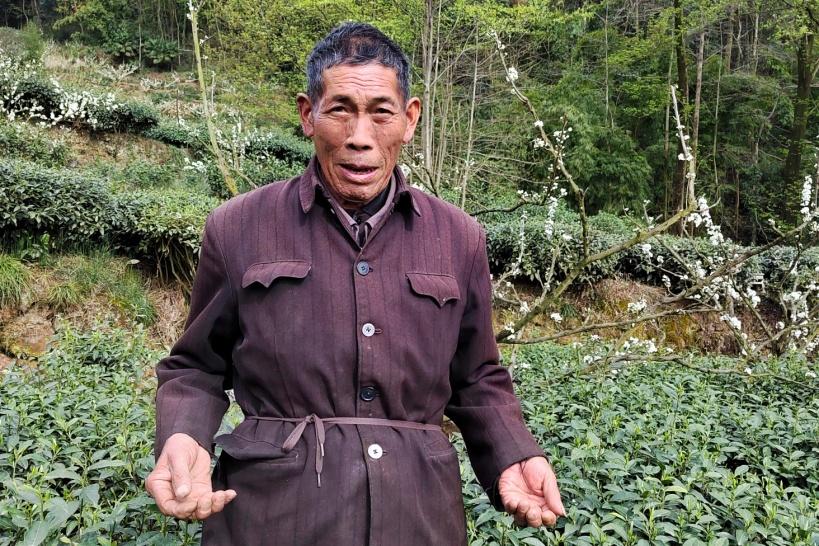 乡土散文朗诵视频,乡土老屋散文100篇