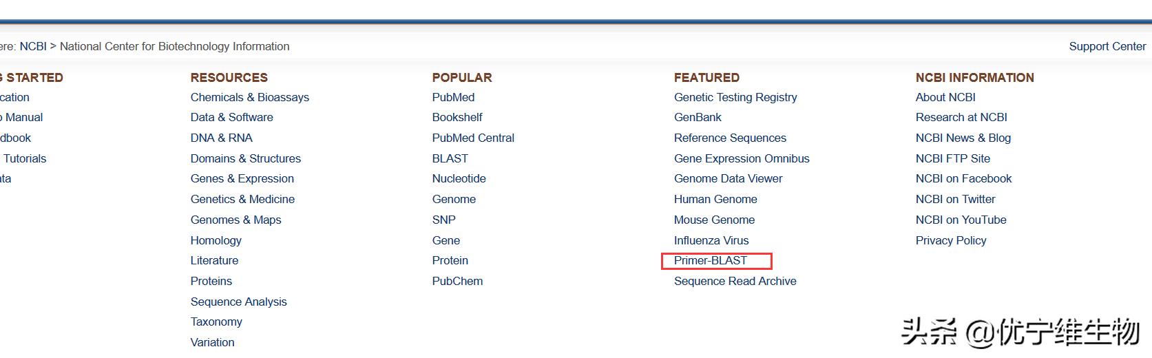 真核原核生物细胞壁,真核生物标记基因