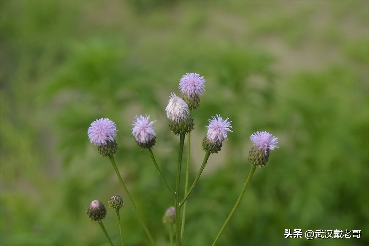 6.26国际禁毒日临近，中国有多少人吸毒？