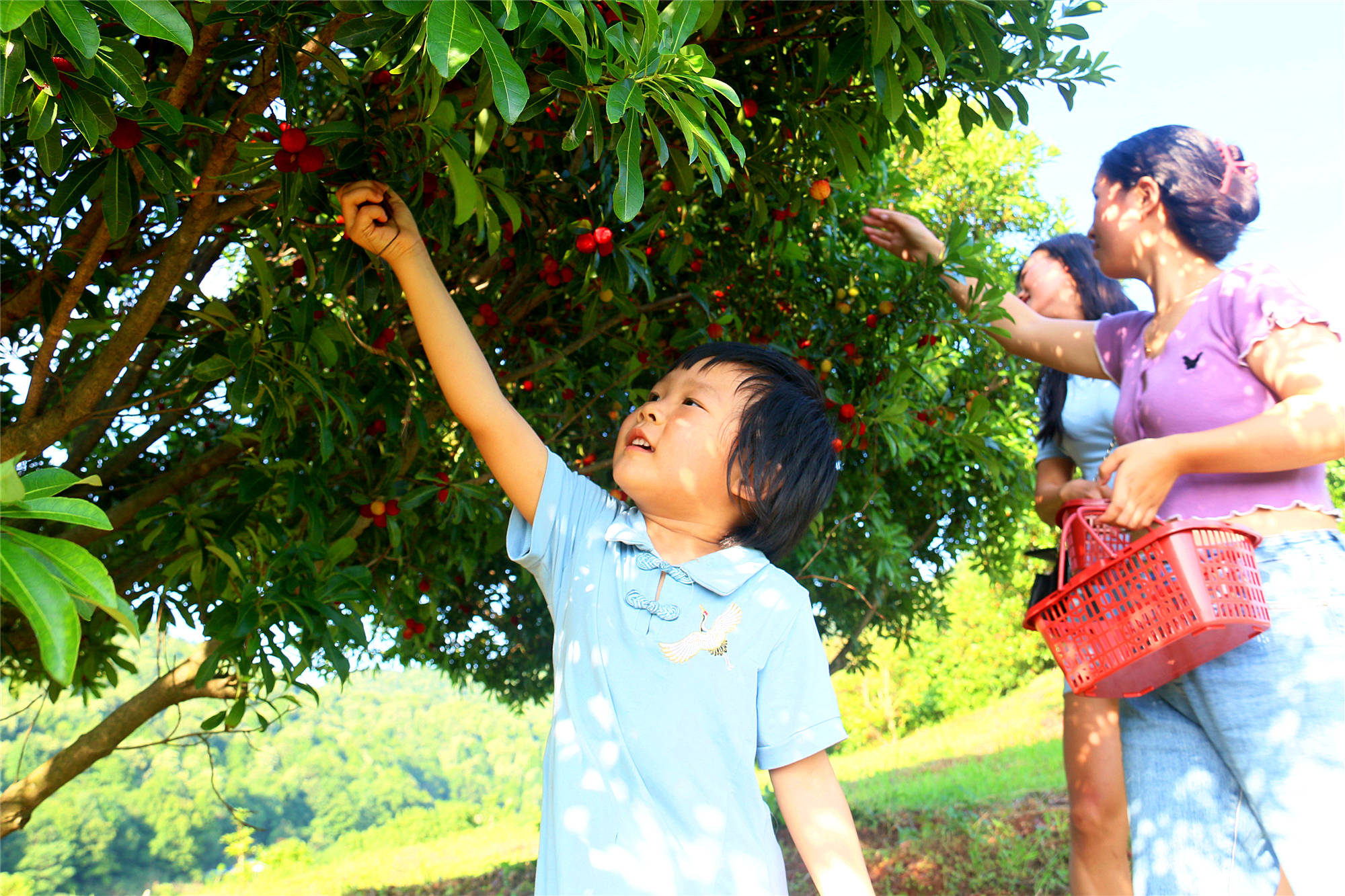 农村创业做什么最适合,乡镇小型创业项目