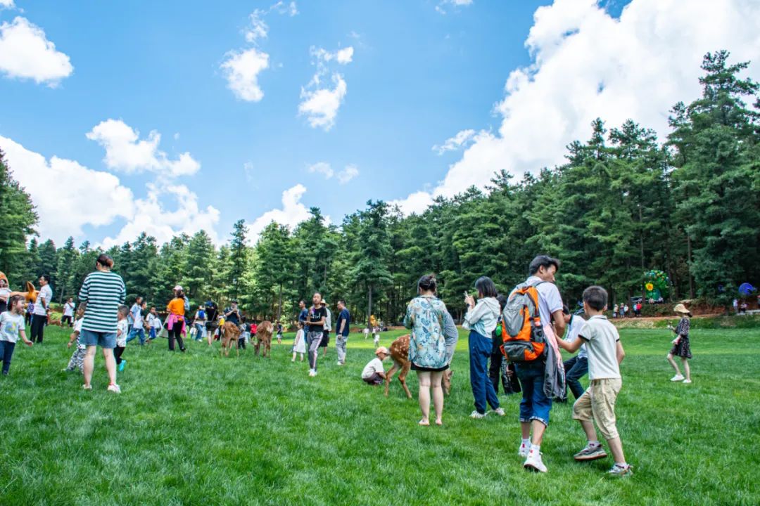 昆明松鹿部落风景区现在收门票吗,昆明松鹿部落景区