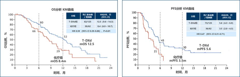 her2抗体偶联物恩美曲妥珠,her2的新型抗体药物偶联物