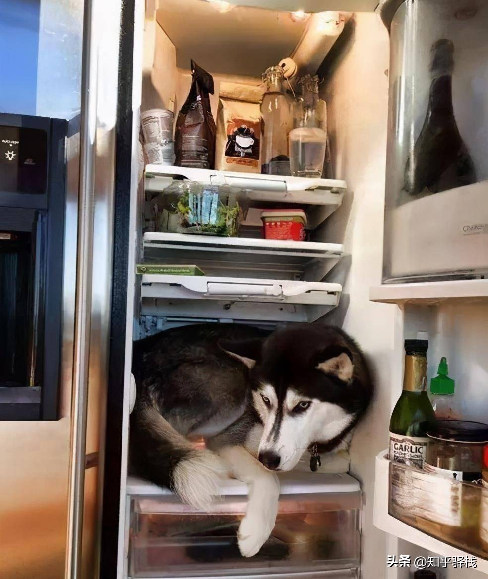 卖爆了！高温不散，空调“续命”！内销可能再创历史