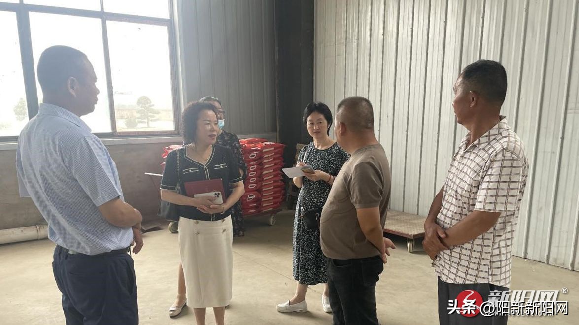 荆头山“聚力共同缔造深化三进三促”