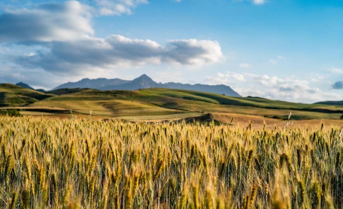风吹麦浪女声原唱,风吹麦浪原唱完整版歌曲