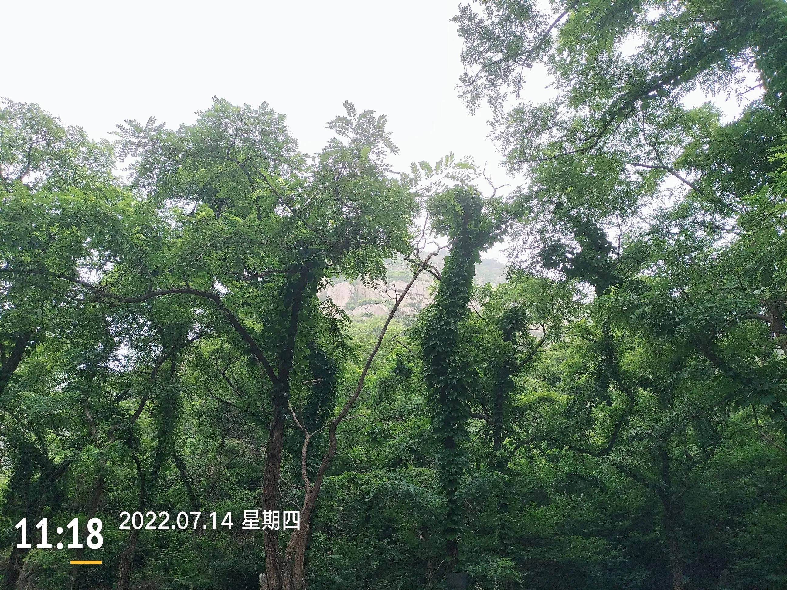 青岛珠山国家森林公园美景,黄岛旅游感受