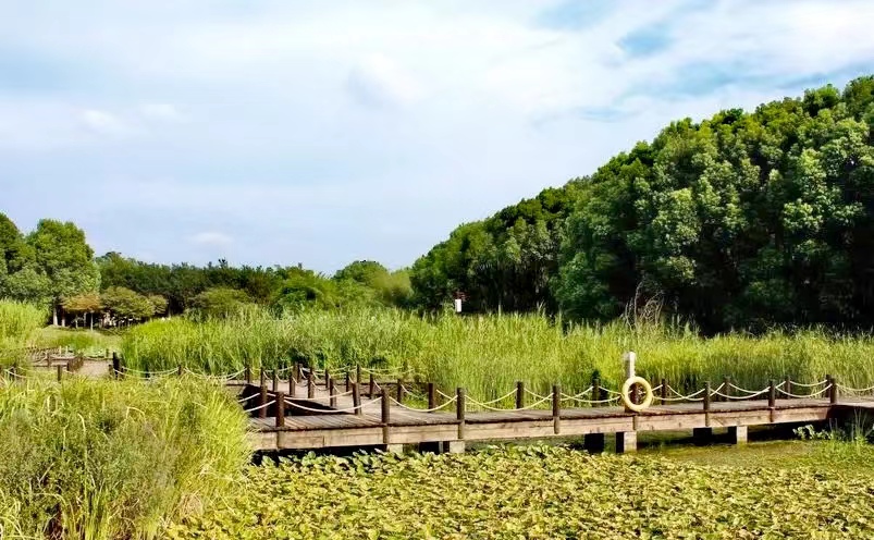 昆山旅游十大必去景点排行榜,昆山游玩必去景点推荐