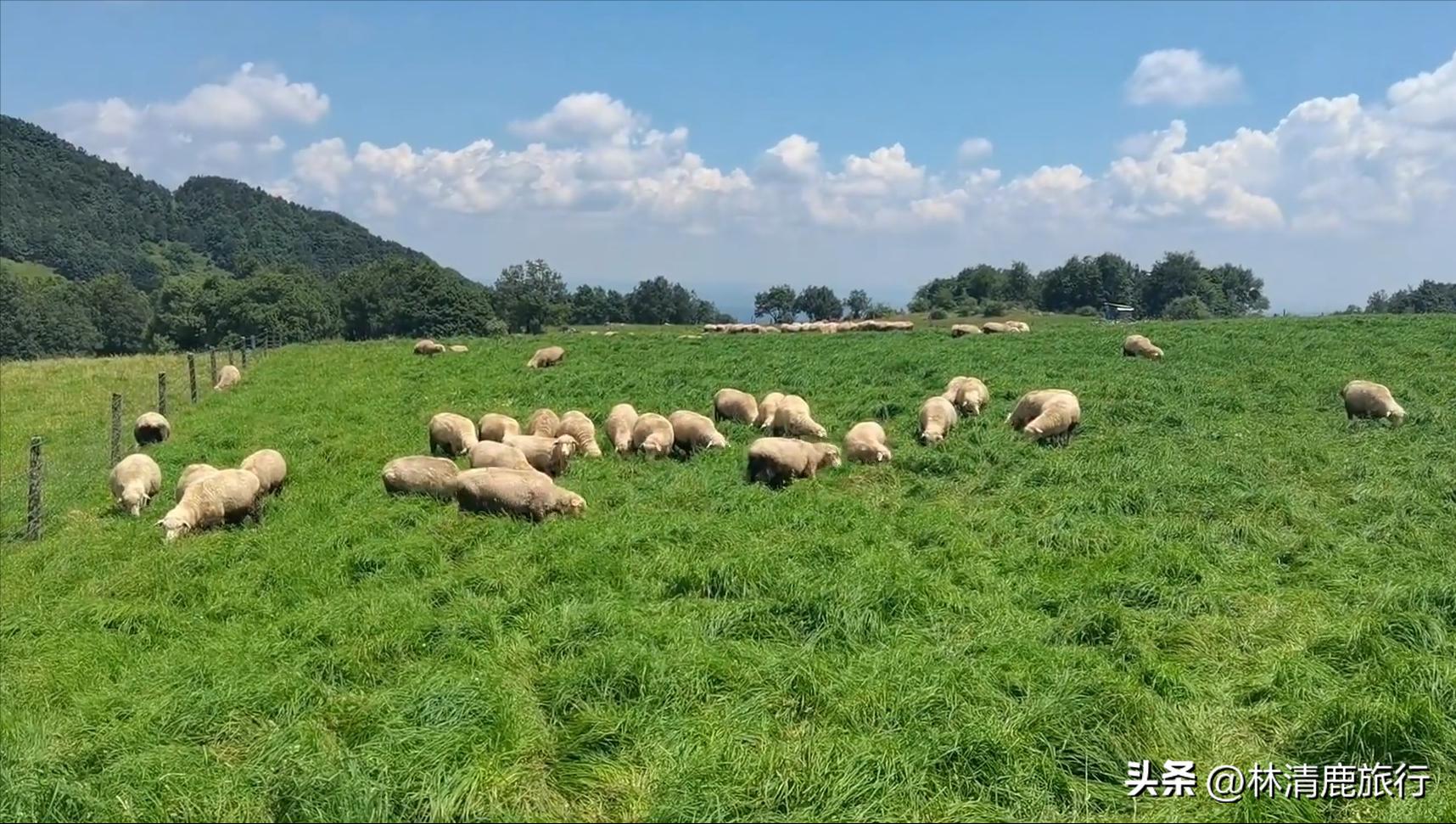 云南隐秘小众的风光,云南小城自然风景
