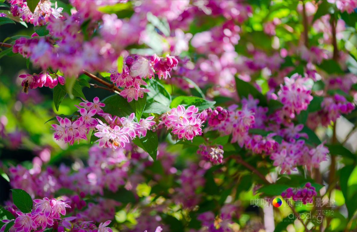 旅行家的眼神，看到不一样的人文澳洲（四之一）