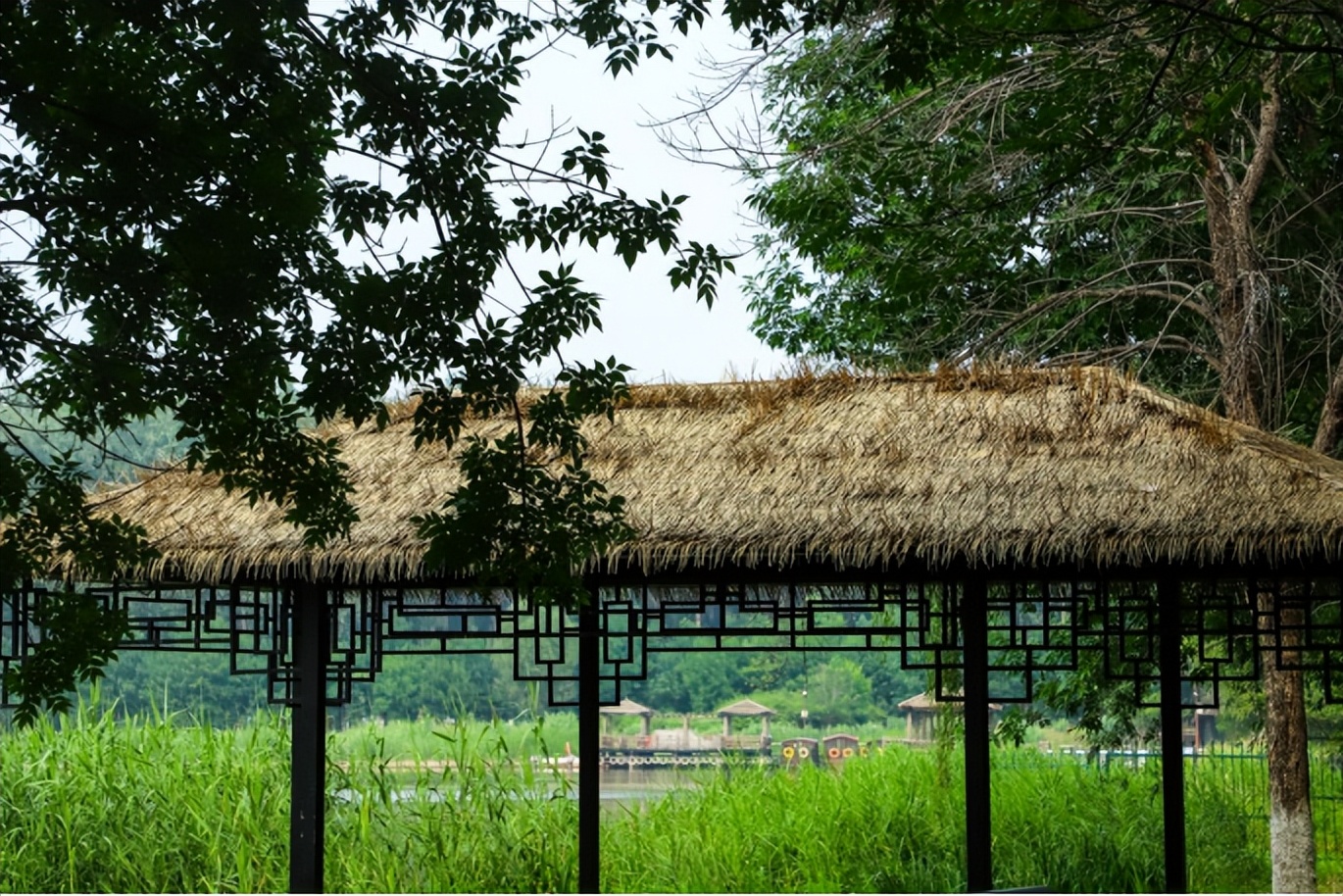汉石桥自然湿地,汉石桥湿地重游
