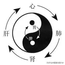 肾病可以吃滋肾宁神丸吗,滋肾宁神丸治什么病的