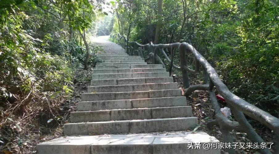 深圳凤凰山森林公园,深圳凤凰山森林公园电话