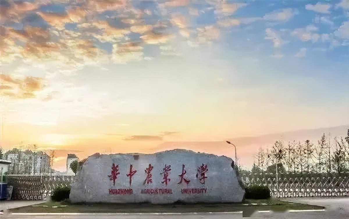 不是211985学校考研的可能性多大,适合美术生考研的211