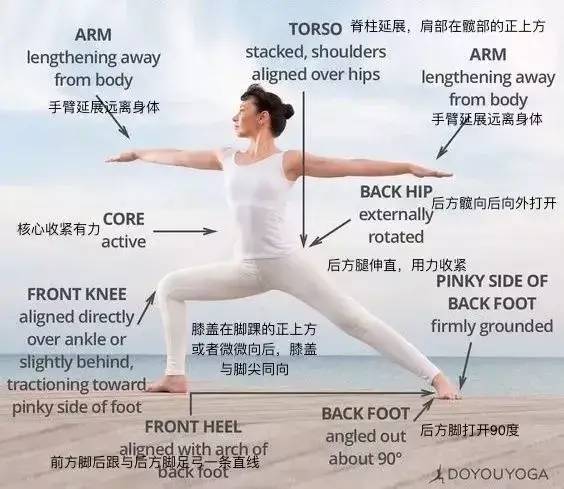 初学者12种瑜伽姿势名称英文,初学者瑜伽入门零基础8个动作