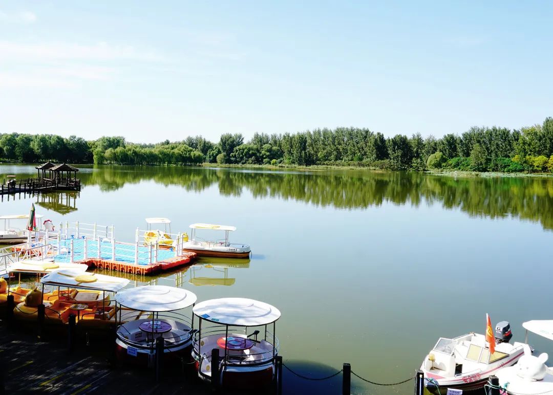 汉石桥湿地公园3月赏花,湖溪踏青好去处