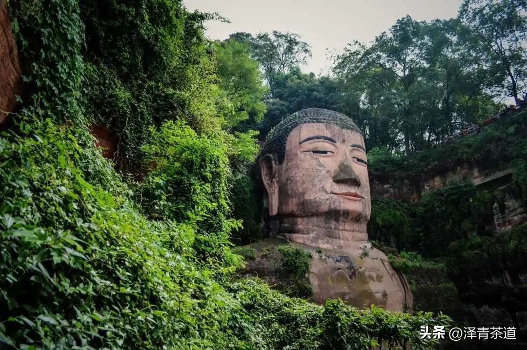 “自古名寺出名茶”，什么样的茶才能称为禅茶呢？
