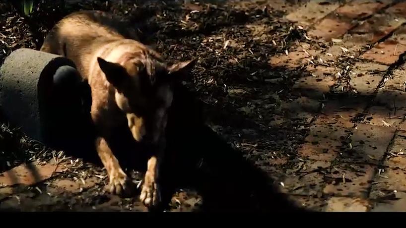 揭露人性与欲望的经典片,国产肮脏人性老电影