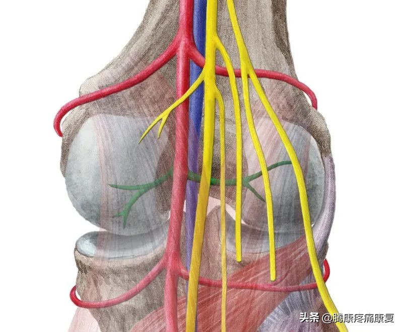 小腿紧绷怎么办,小腿很紧绷怎么拉伸