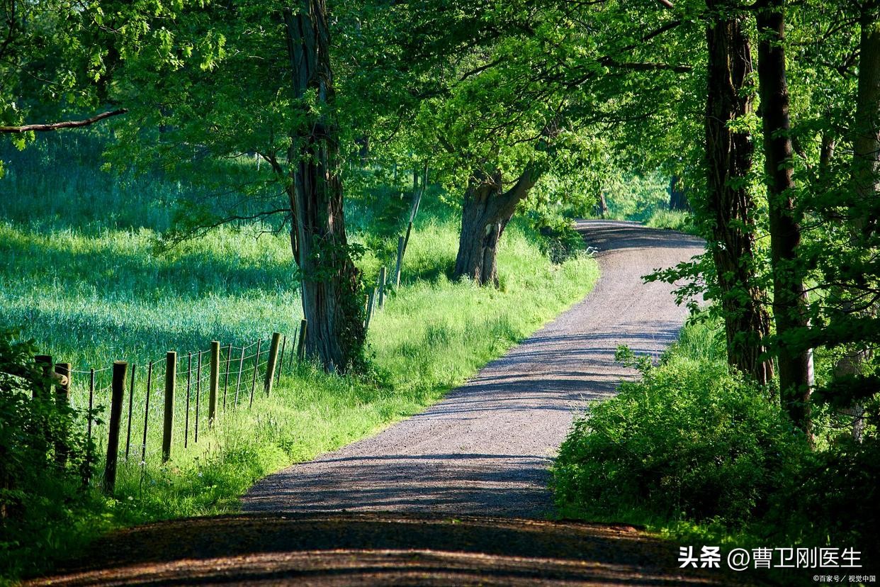 乳腺癌中西药方,乳腺癌中西医结合治疗