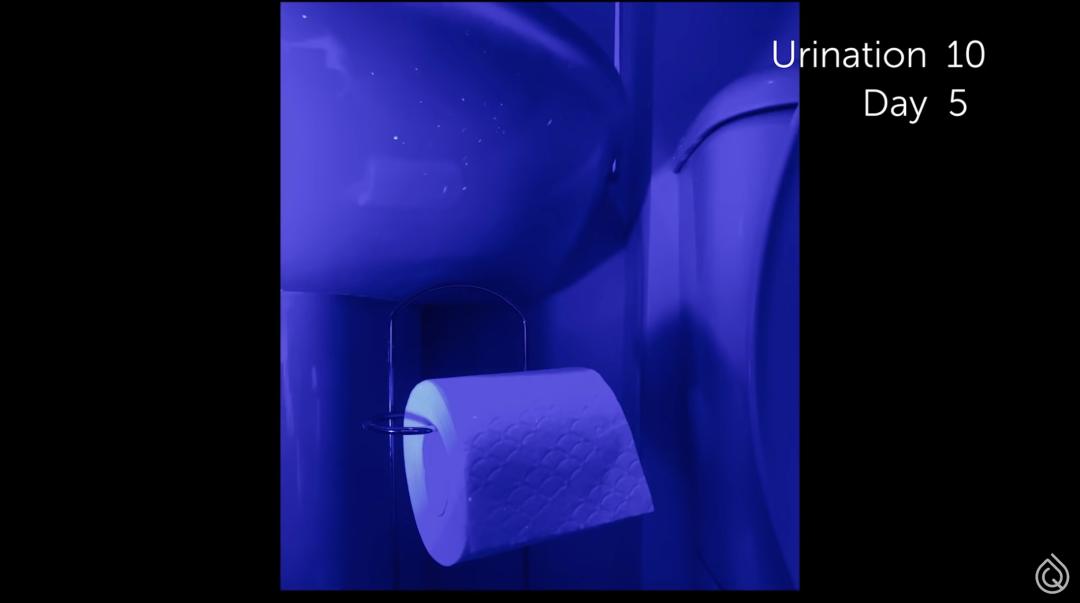 被公厕便池的水溅到,会得性病吗?|8个如厕烦恼全解