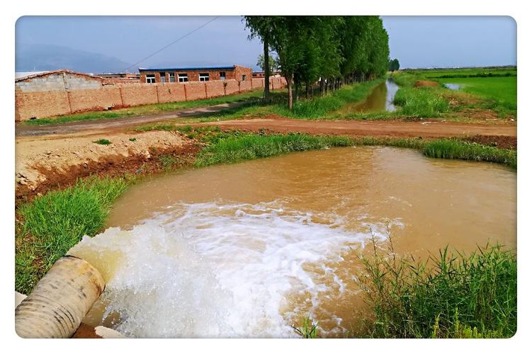 离谱！开天辟地头一遭，农民用黄河水浇地，竟然也要收费了？