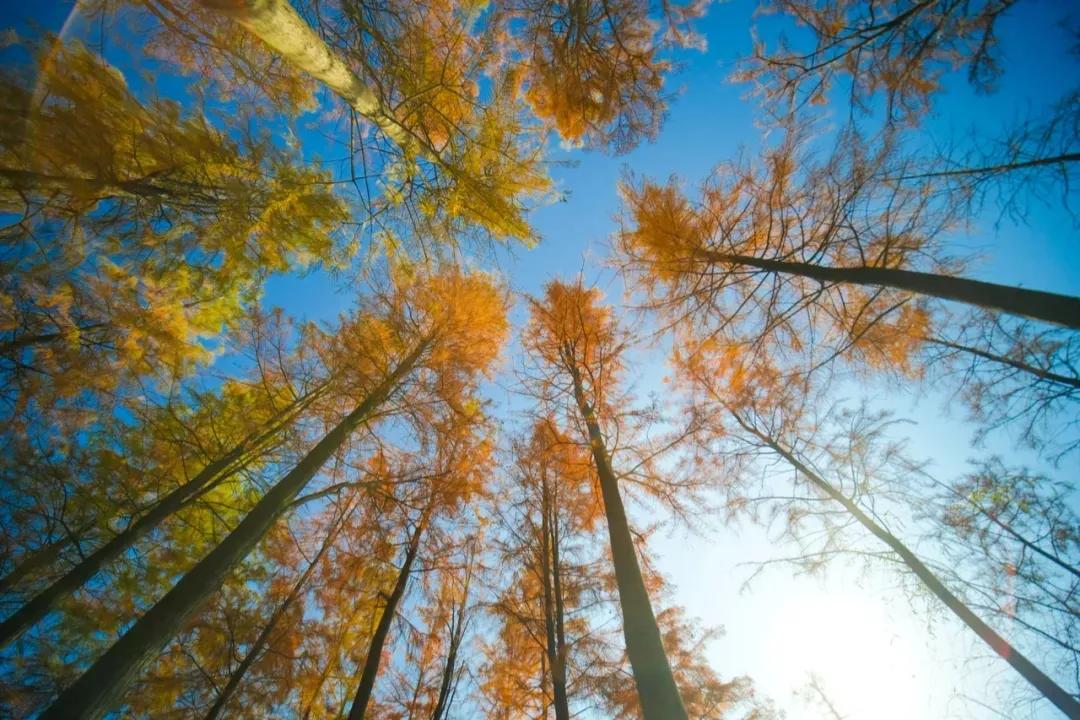 大美星沙,大美星沙松雅湖