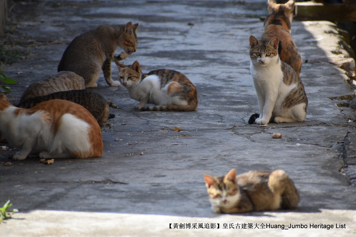 第3078回:广东第一田都斛镇,斗山不一样的烟火