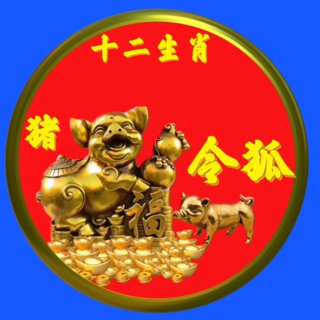 12生肖猪的姓氏头像,十二生肖猪姓氏头像壁纸