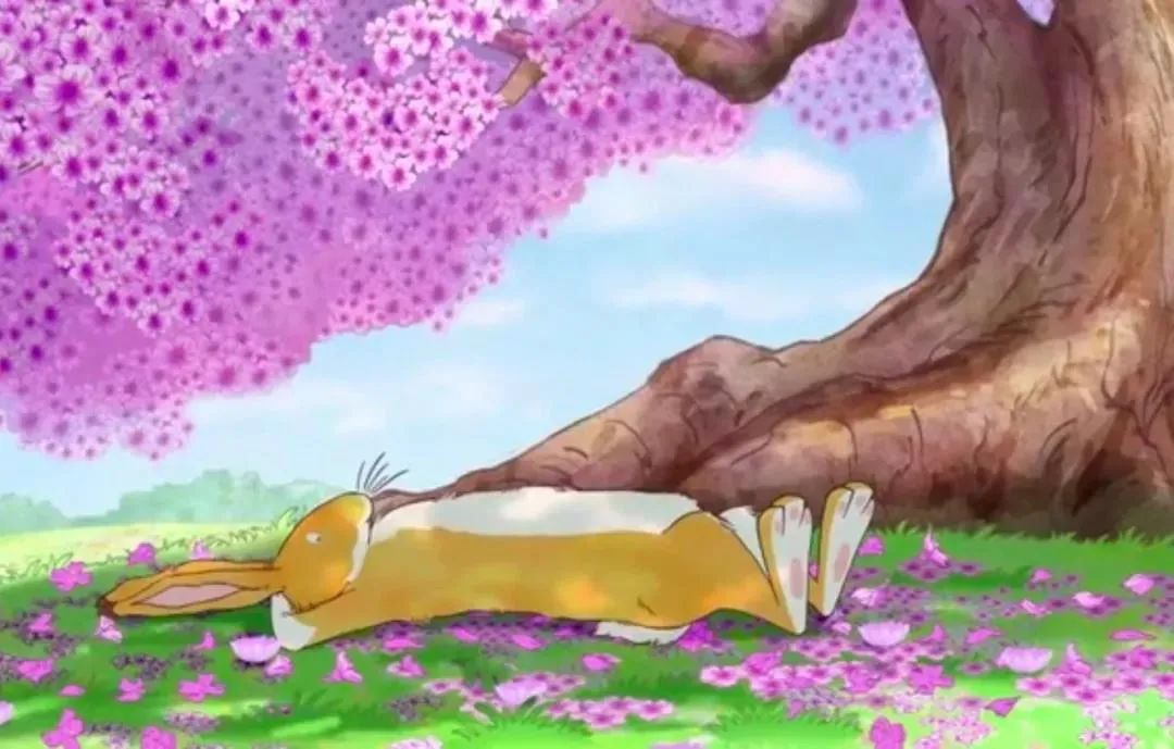 火爆抖音的《猜猜我有多爱你》英文动画，全球的孩子都被暖化了