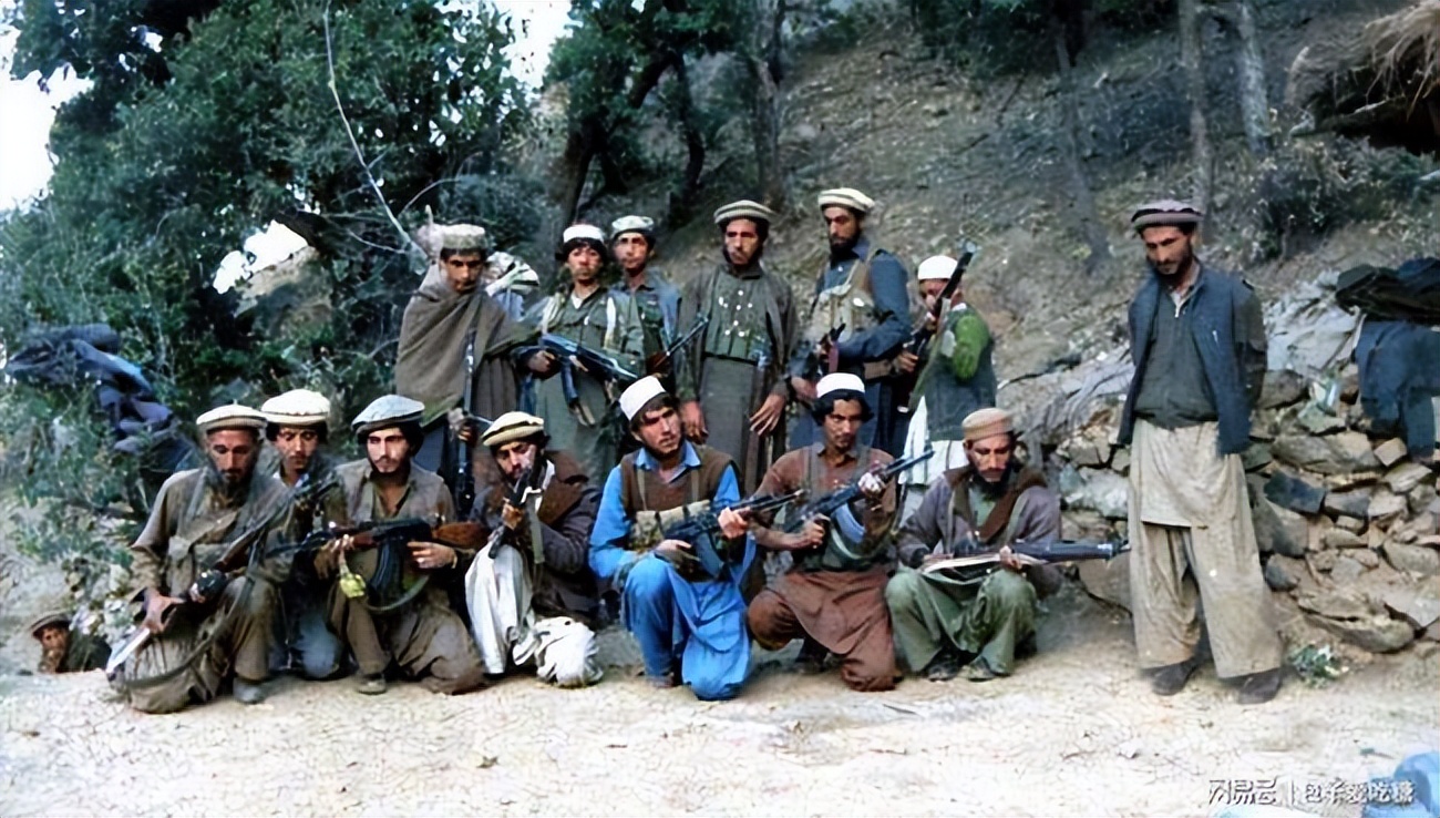 巴基斯坦和巴铁比较,巴基斯坦和巴铁是什么关系