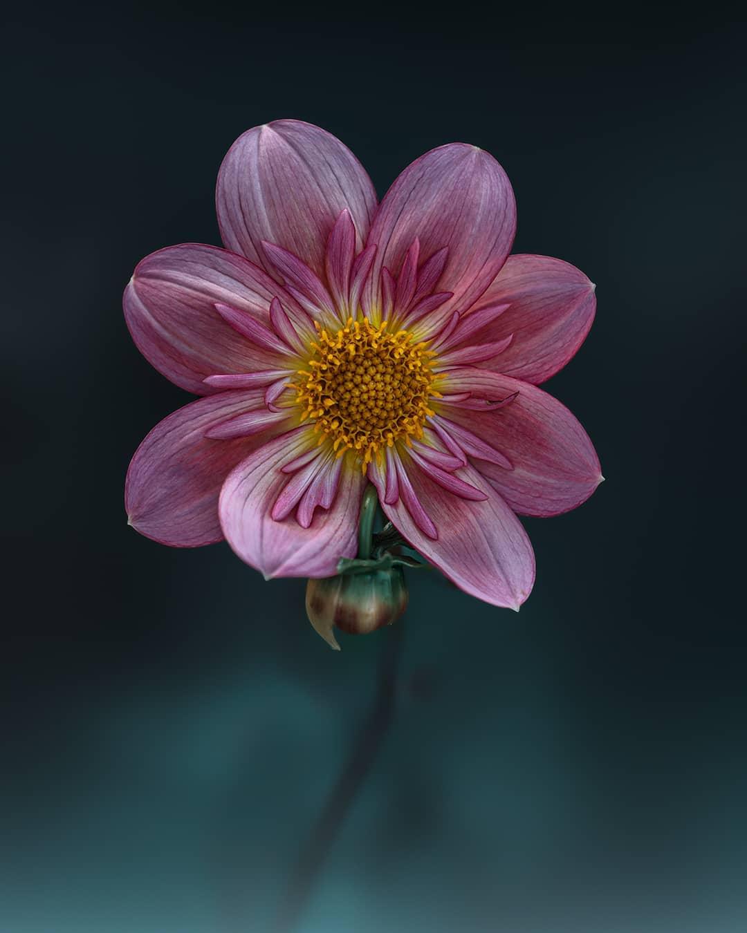 人心凉了很疲惫的伤感说说短句,心力憔悴的唯美句子