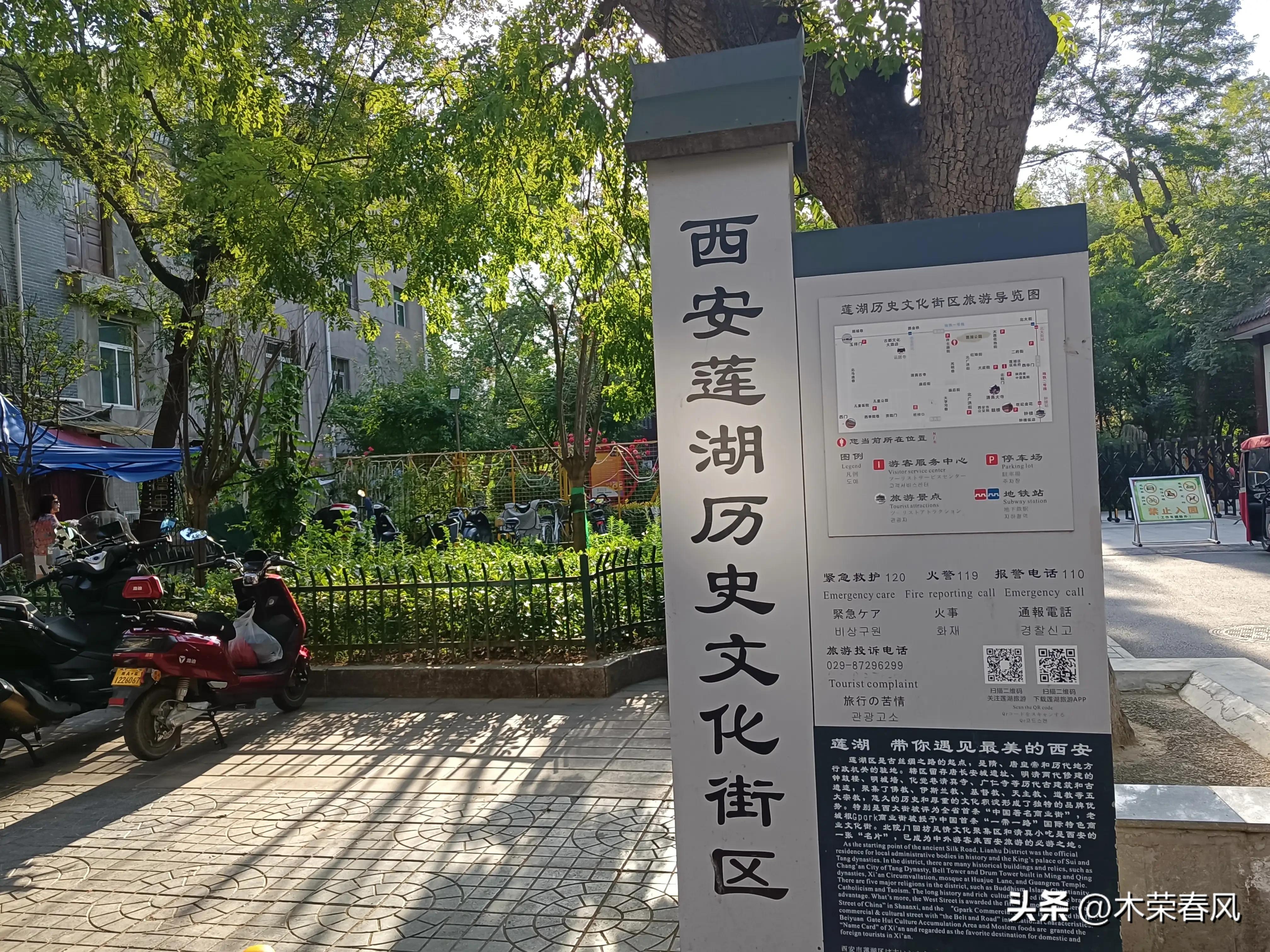 莲湖公园看荷花几点合适,莲湖公园荷花怎么走