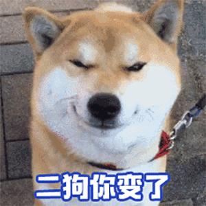 supreme第一周单品详情,supreme穿搭预告