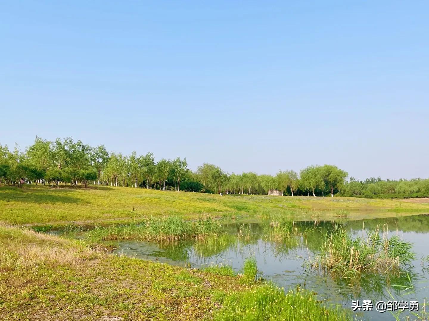 晨跑每一份坚持和努力都是值得的,晨跑不是每一次努力都会有收获