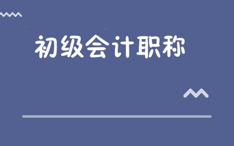 2024初级会计实务会计科目讲解,2020初级会计实务教材pdf