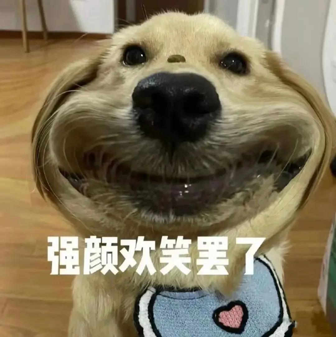 这样的阴间猫狗审美,早该翻车了