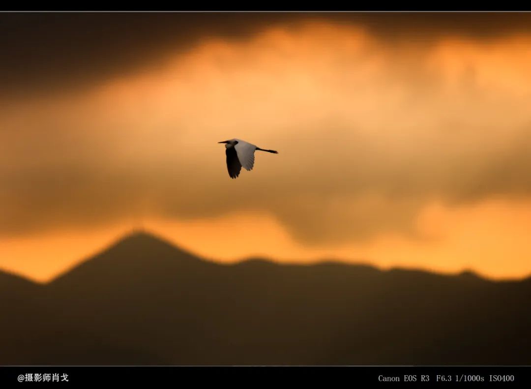 有必要升级佳能R3吗？详细为你分析R3摄影及视频性能