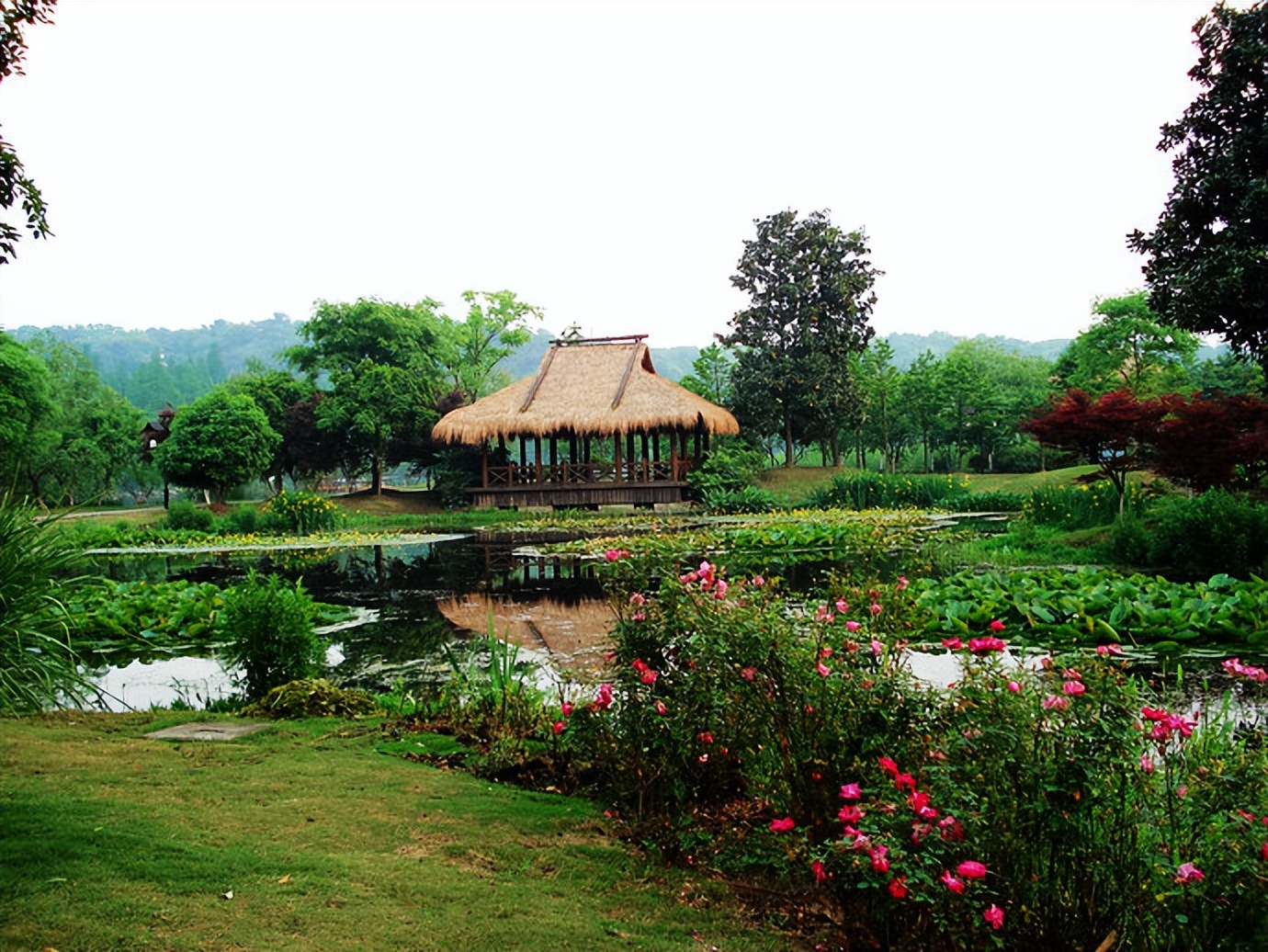 慢游放松体验,杭州慢时光游玩攻略