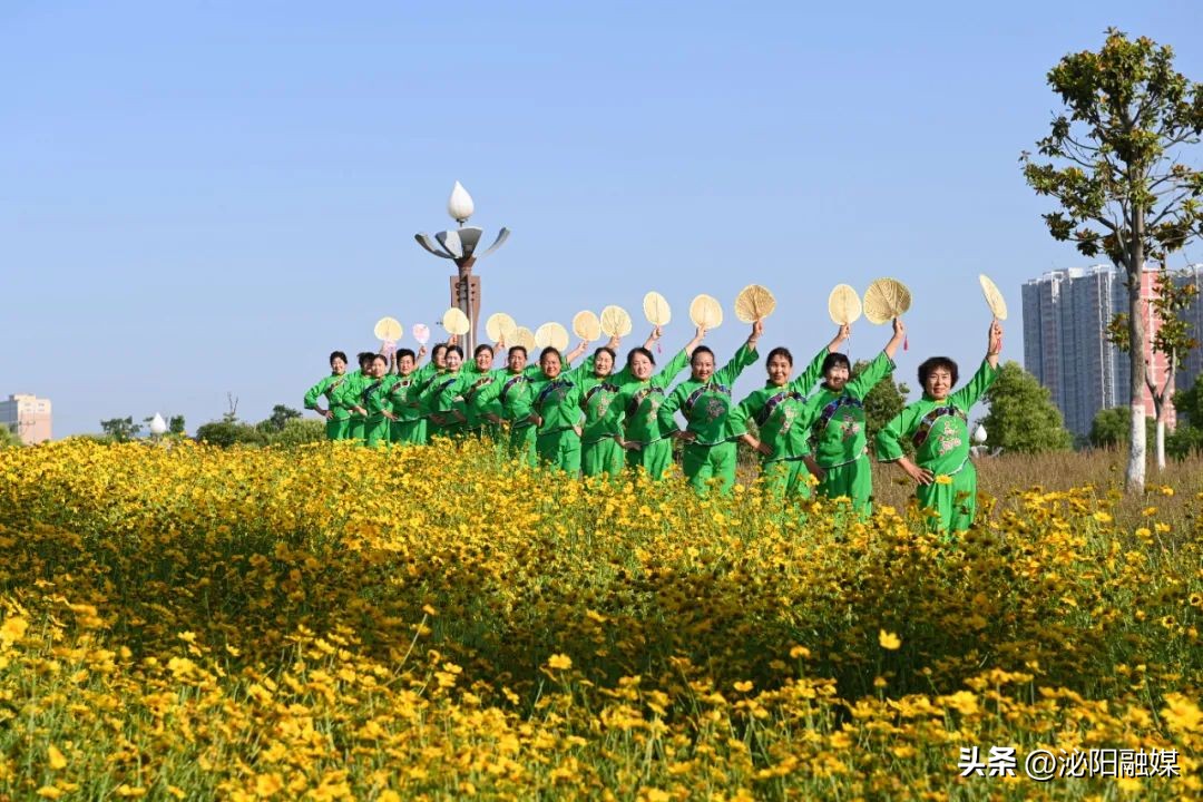 月儿湾跳舞音乐,月儿湾公园跳舞