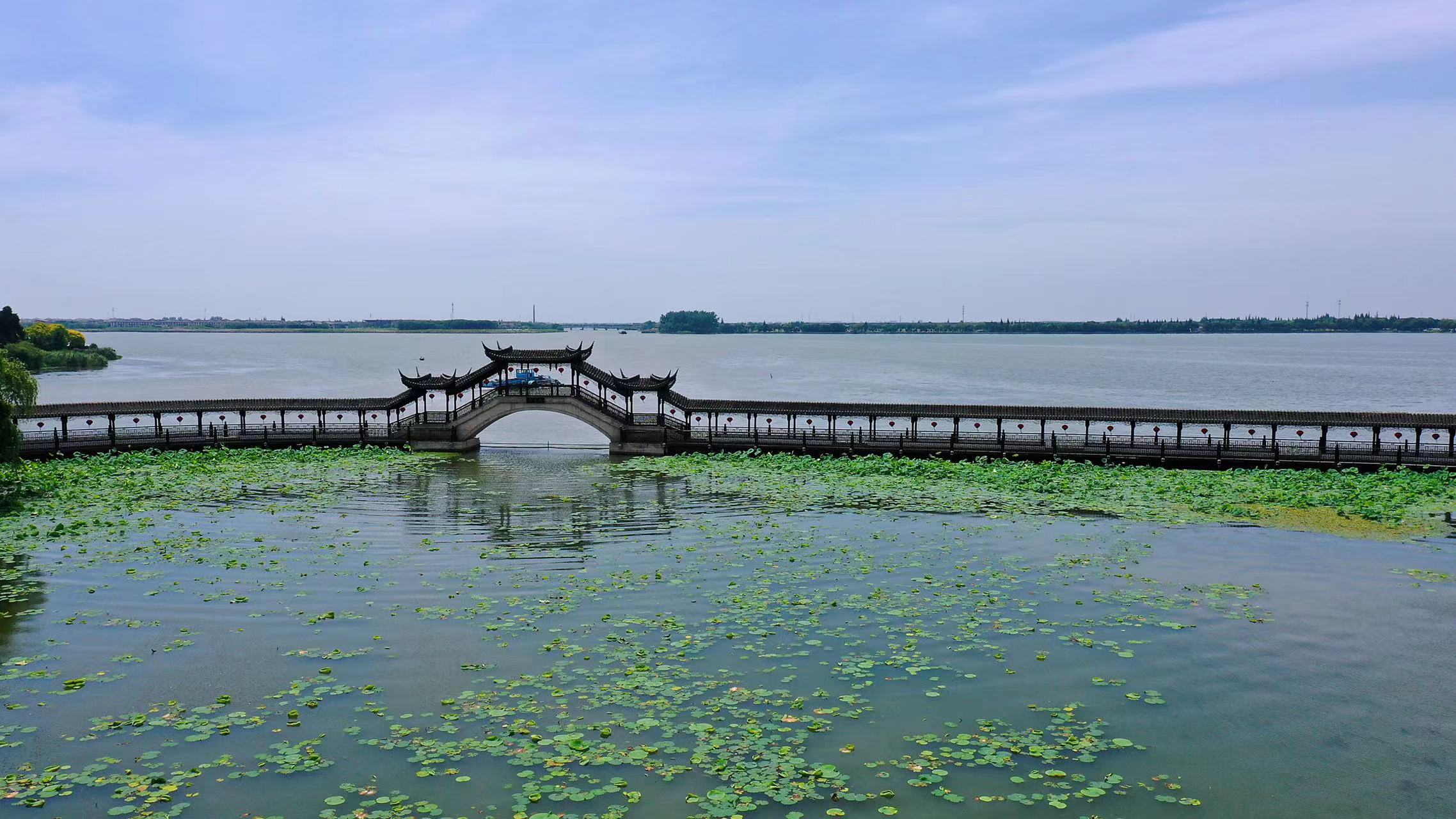张雪峰为什么搬到苏州,考研名师张雪峰定居苏州
