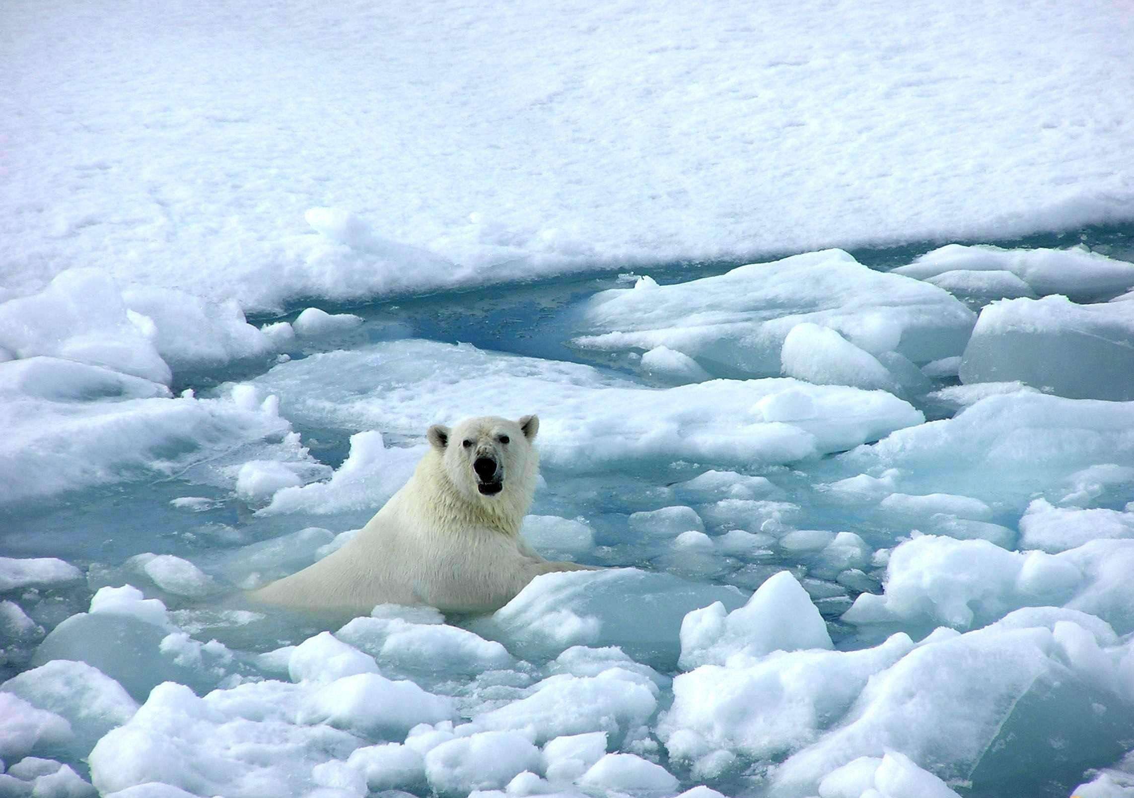 可能导致人类灭绝的几个原因,人类可能灭绝的7种方式
