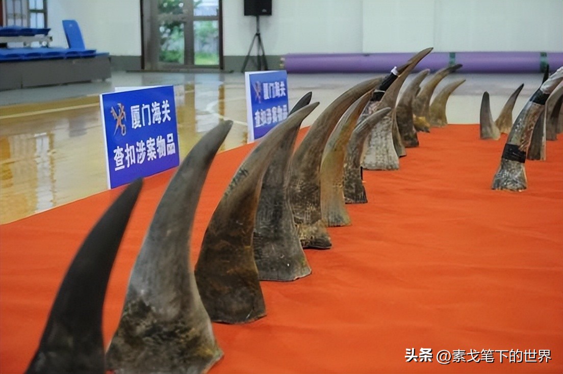 收入水平影响犀牛角消费偏好：野生与半野生犀牛角更受青睐