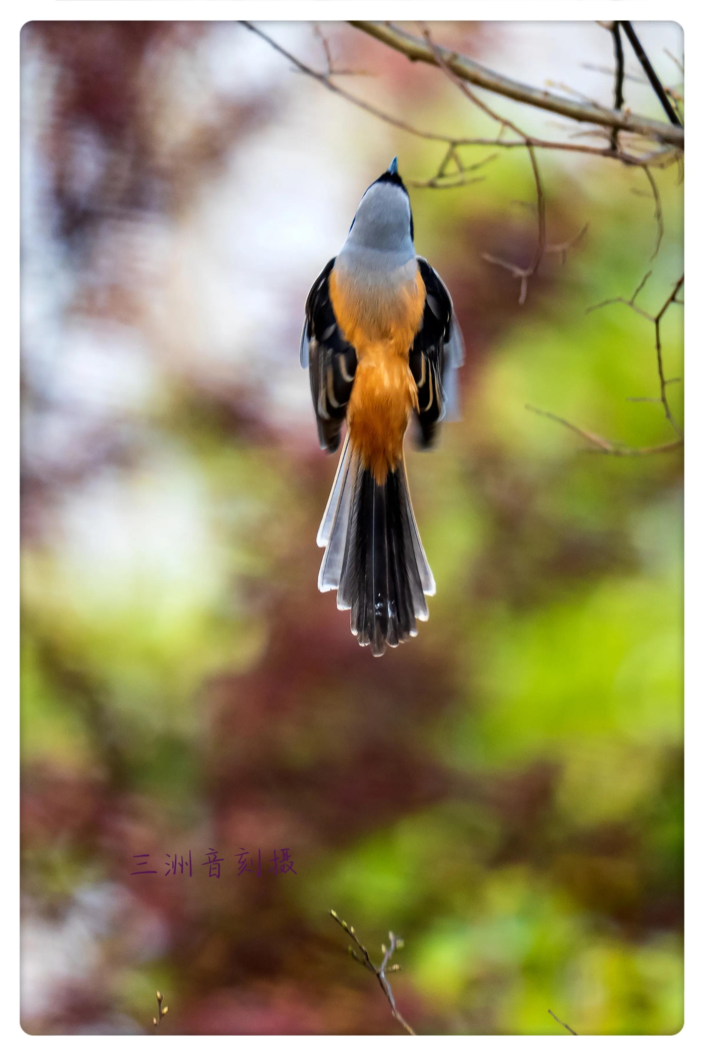 上海市嘉定区安亭国际汽车城,上海嘉定安亭国际汽车城