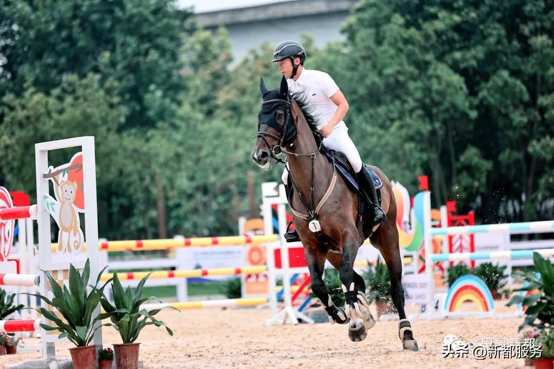 新都百年巨变,新都变化视频