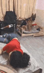 性取向测试,性取向测试怎么看结果