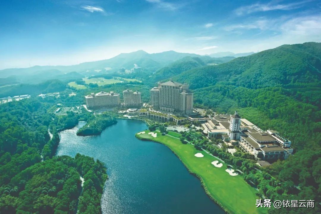 深挖人宠双向友好型空间,观澜湖集团带来哪些值得借鉴的经验?