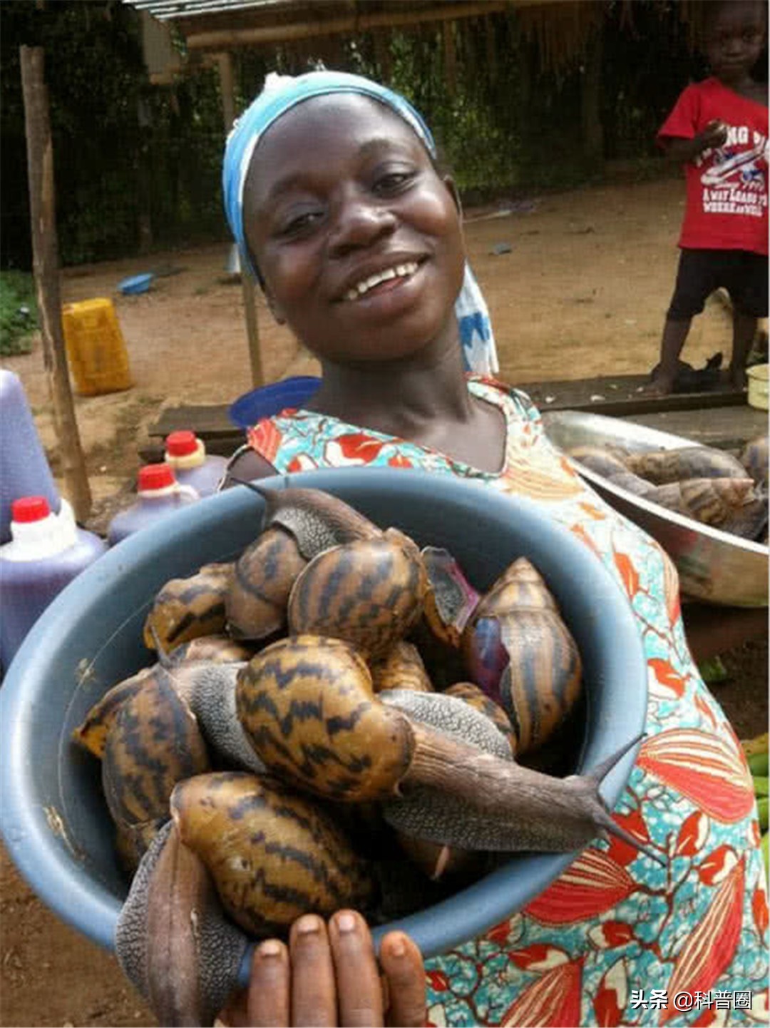 非洲大蜗牛中国泛滥,非洲人能吃1500万公斤,为何中国吃货怂了?