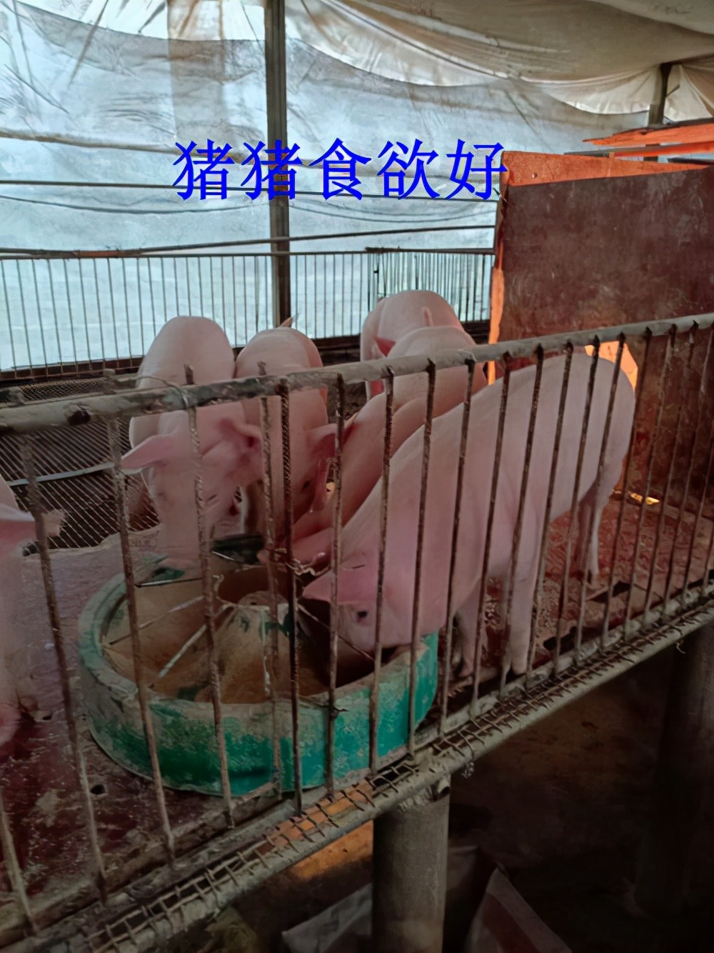 疫情反复波动下，看看这位老板是怎样做到稳步向前的？