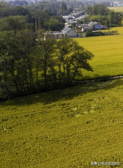 农村大龄剩男以后的一生该怎么过,农村剩男和城市剩男的根本原因